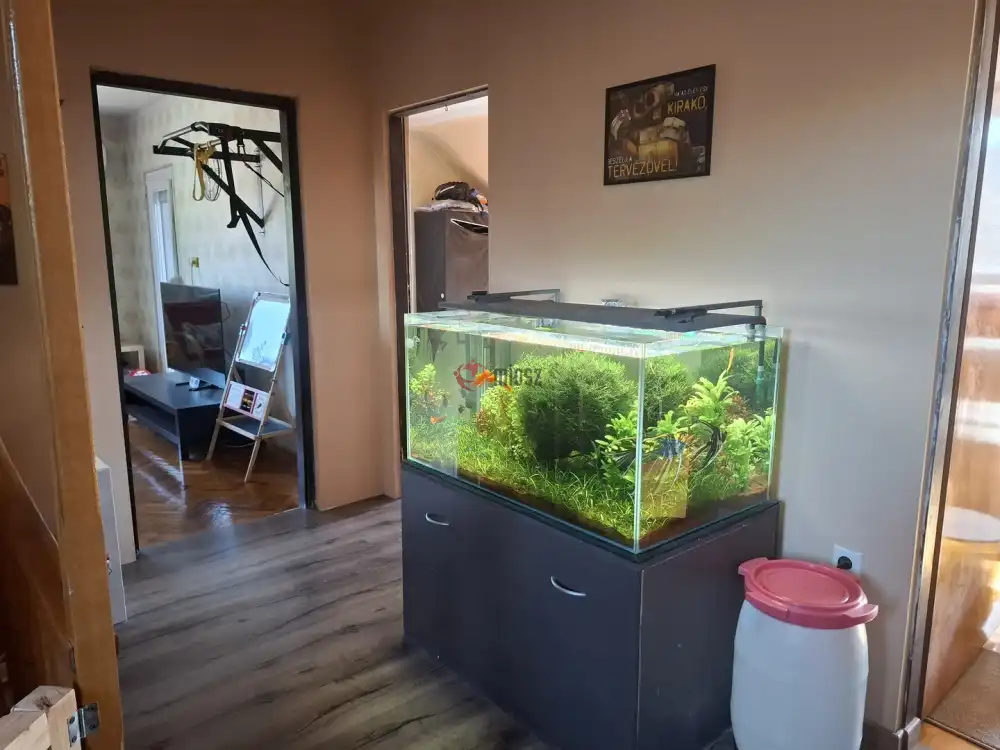 Fejér megye - Bicske