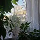 Fejér megye - Bicske