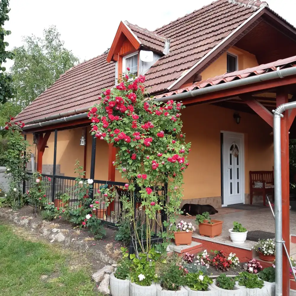 Fejér megye - Bicske