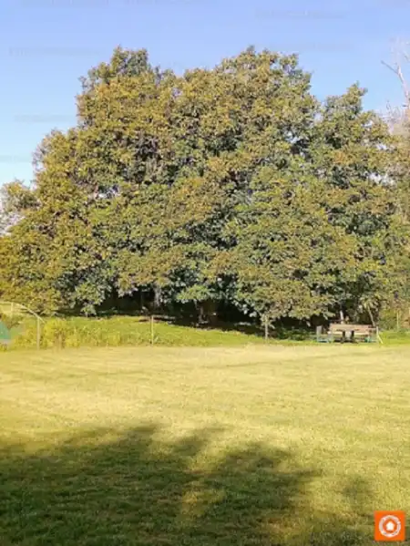 Eladó családi ház, Nadap 6 szoba 209 m² 118 M Ft