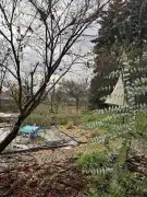 Pest megye - Nagymaros