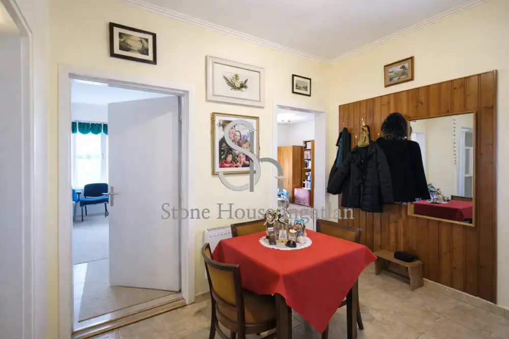 Győr-Moson-Sopron megye - Nyúl