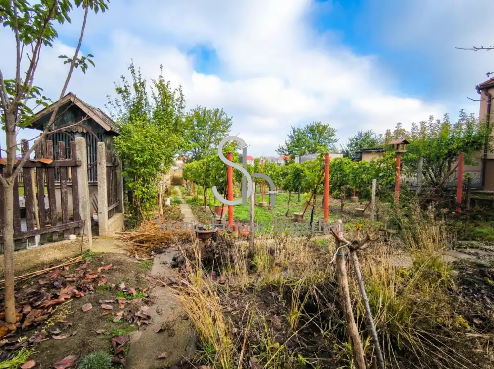 Győr-Moson-Sopron megye - Nyúl