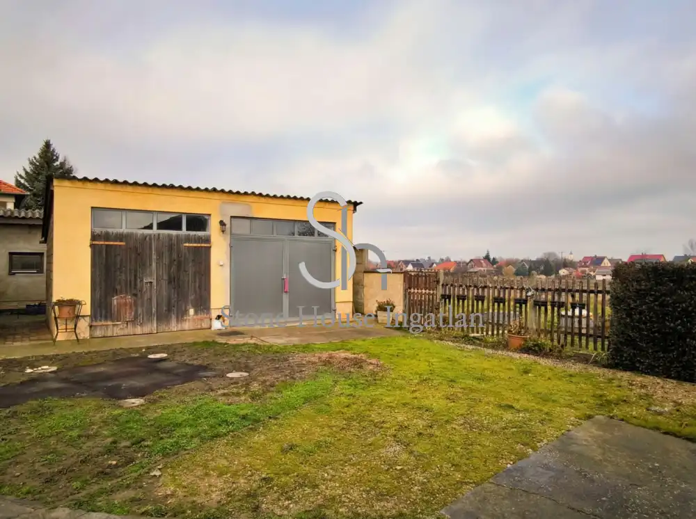 Győr-Moson-Sopron megye - Nyúl