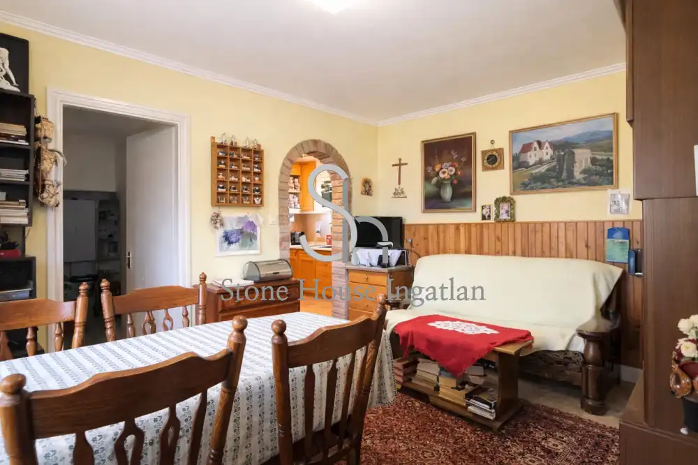 Győr-Moson-Sopron megye - Nyúl