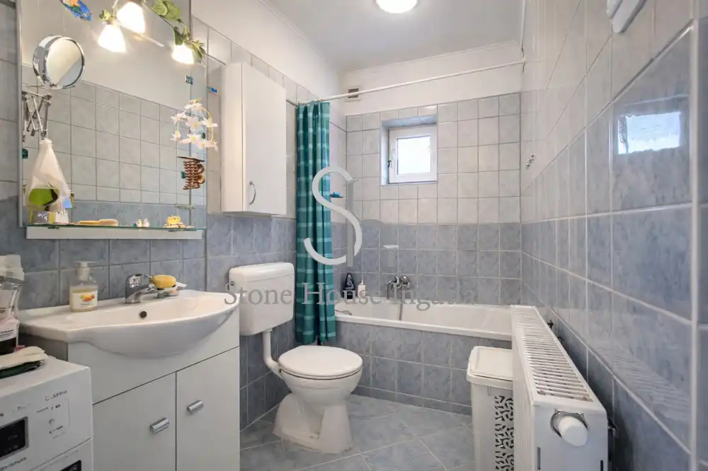 Győr-Moson-Sopron megye - Nyúl