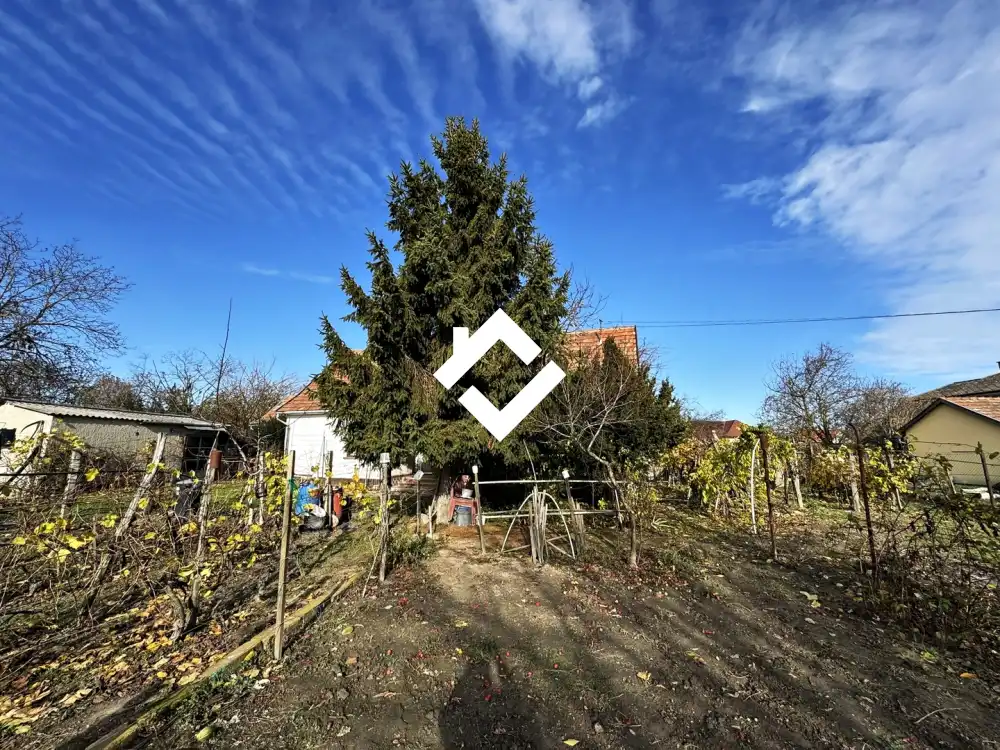 Pest megye - Ráckeve