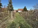 Pest megye - Ráckeve