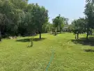 Pest megye - Ráckeve