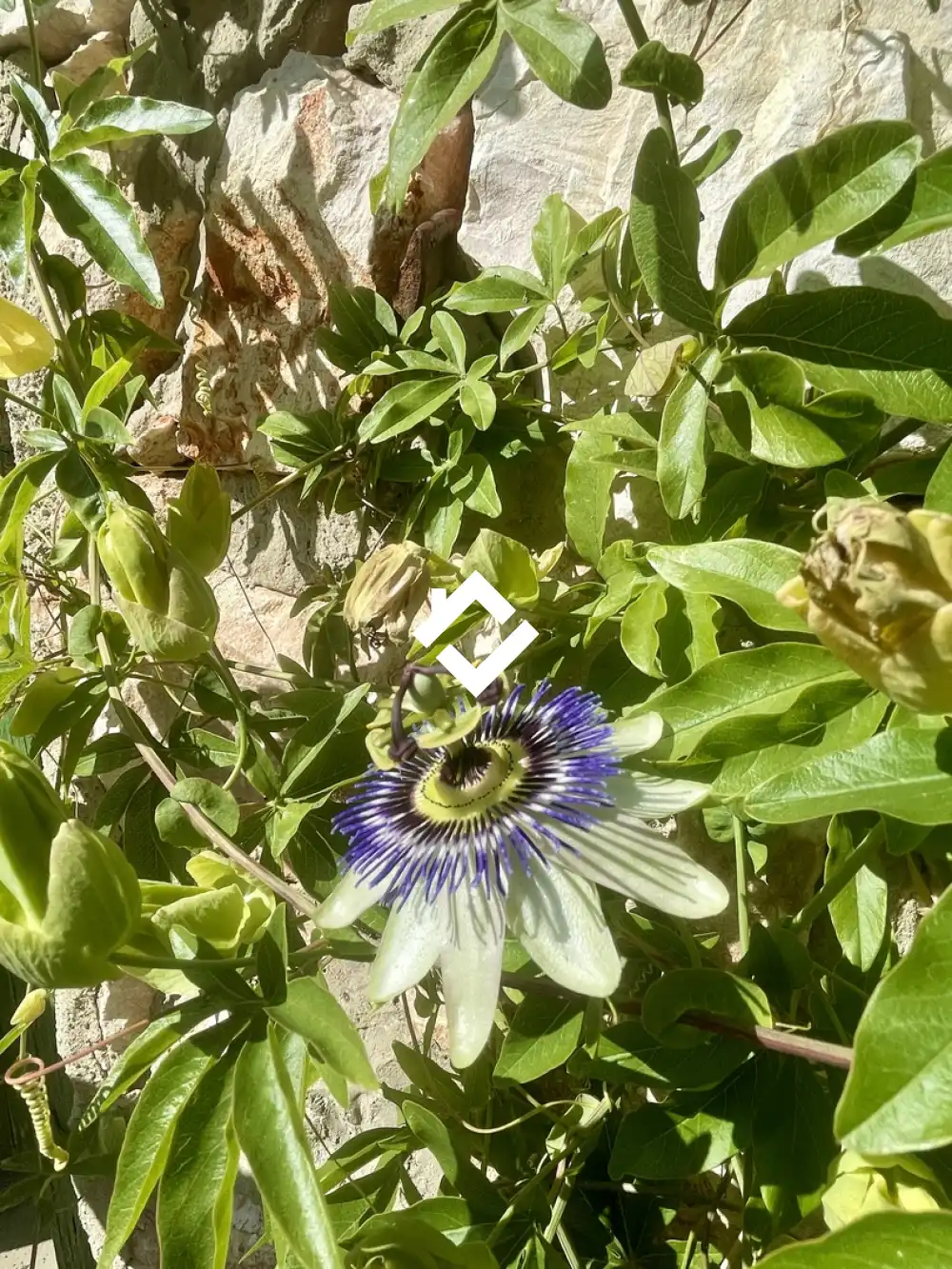 Komárom-Esztergom megye - Réde