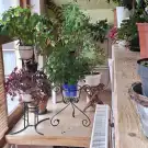 Fejér megye - Újbarok