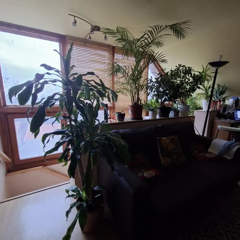 Fejér megye - Újbarok