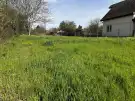 Pest megye - Dömsöd