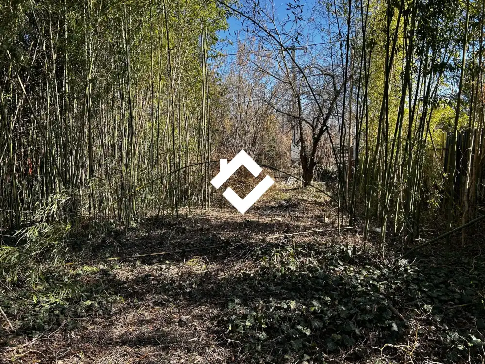 Pest megye - Dömsöd