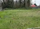Pest megye - Dömsöd
