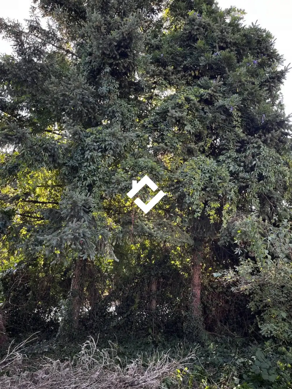 Komárom-Esztergom megye - Oroszlány