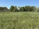 Pest megye - Ráckeve