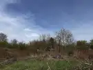 Pest megye - Ráckeve