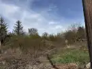 Pest megye - Ráckeve