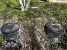 Pest megye - Dömsöd