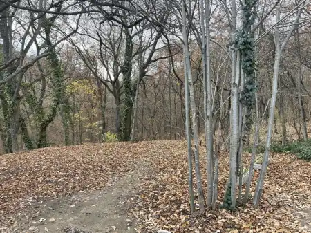 Eladó mezőgazdasági ingatlan, Budapest, XII. kerület 518701 m² 320.8 M Ft
