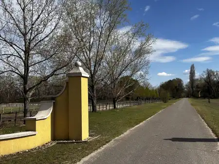 Eladó mezőgazdasági ingatlan, Lajosmizse 33380 m² 19.9 M Ft