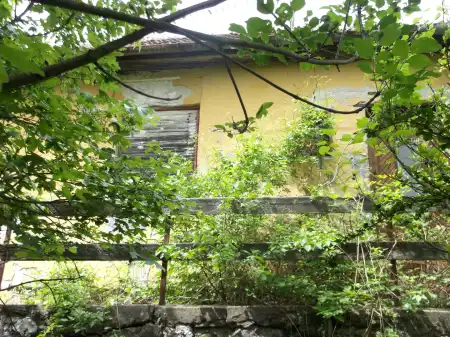 Eladó mezőgazdasági ingatlan, Sátoraljaújhely 2499 m² 10 M Ft