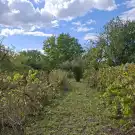 Fejér megye - Bicske