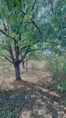 Fejér megye - Bicske