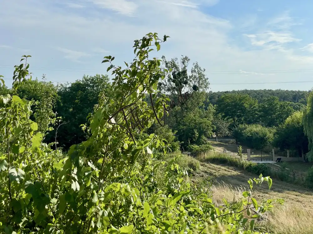 Komárom-Esztergom megye - Oroszlány
