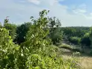 Komárom-Esztergom megye - Oroszlány