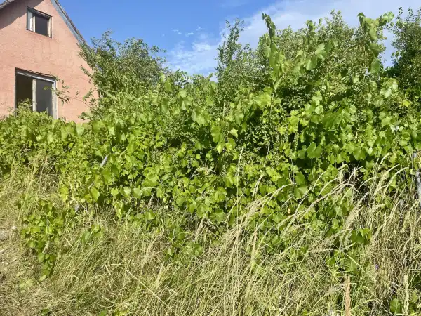 Eladó nyaraló, Oroszlány 1+1 szoba 20 m² 3.9 M Ft