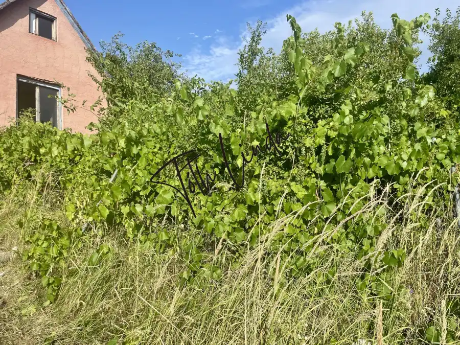 eladó nyaraló, Oroszlány