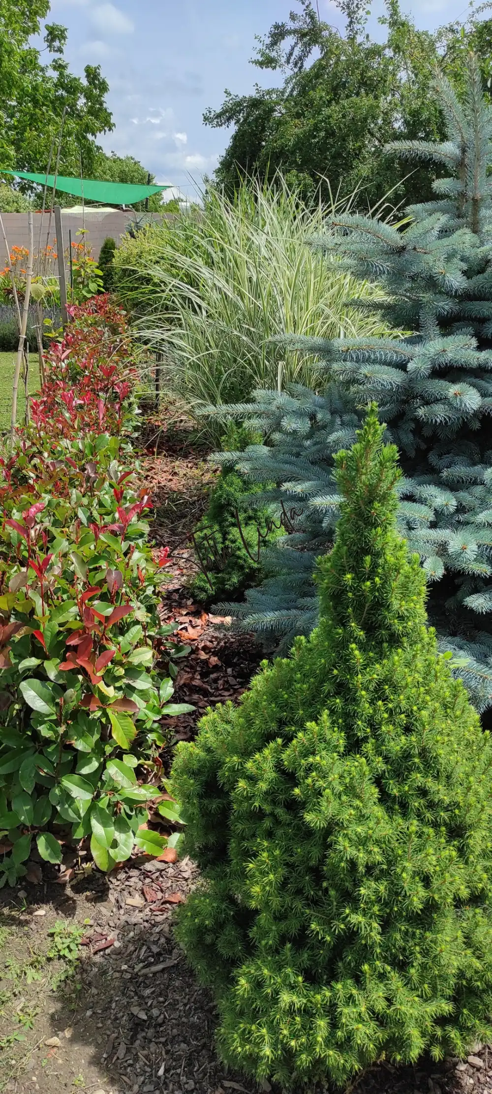 Komárom-Esztergom megye - Oroszlány