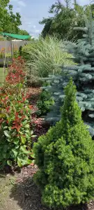 Komárom-Esztergom megye - Oroszlány