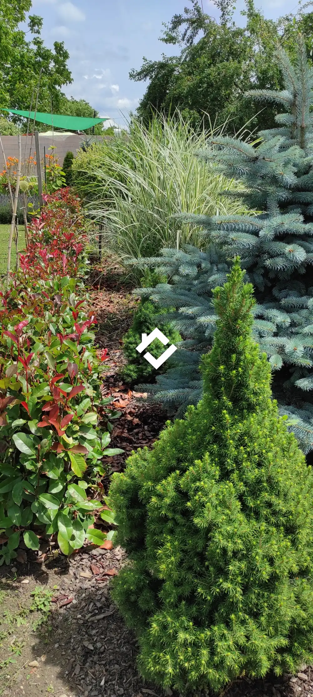 Komárom-Esztergom megye - Oroszlány