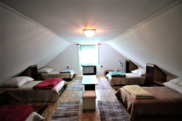 Eladó panzió, Gyula 6 szoba 250 m² 79 M Ft