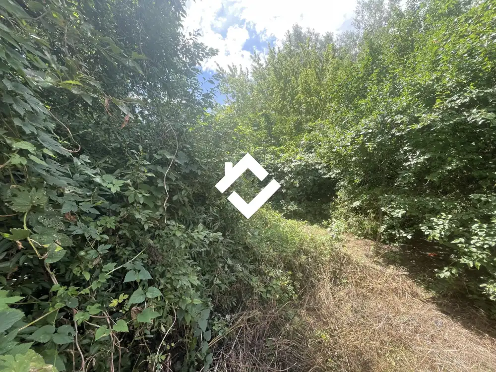 Komárom-Esztergom megye - Tatabánya