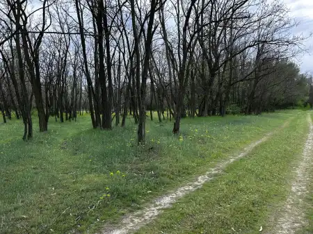 Eladó tanya, Lajosmizse 6.9 M Ft