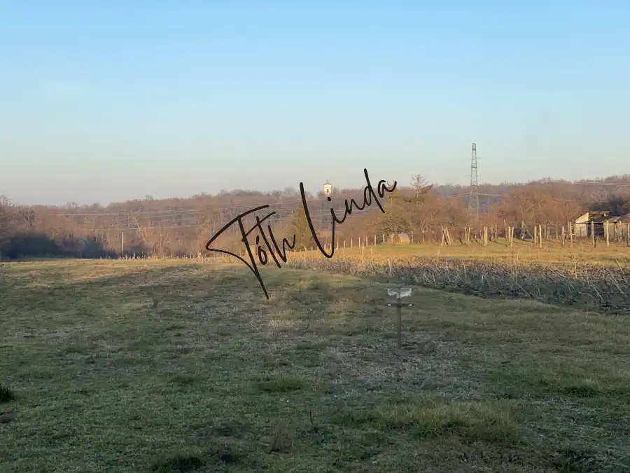 eladó tanya, Oroszlány