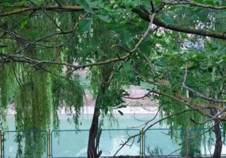 Eladó telek, Siófok 901 m² 165 M Ft