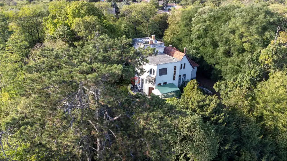 Fejér megye - Bicske