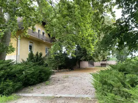 Kiadó családi ház, Dabas 10 szoba 280 m² 600 E Ft/hó